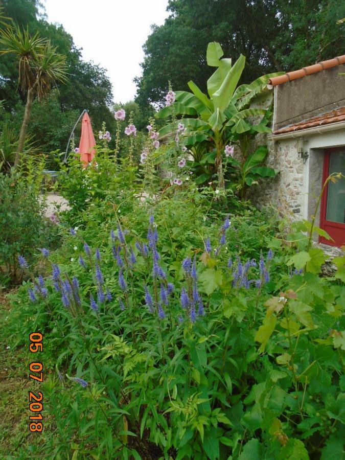Les Trois Etangs Saint-Viaud Bagian luar foto